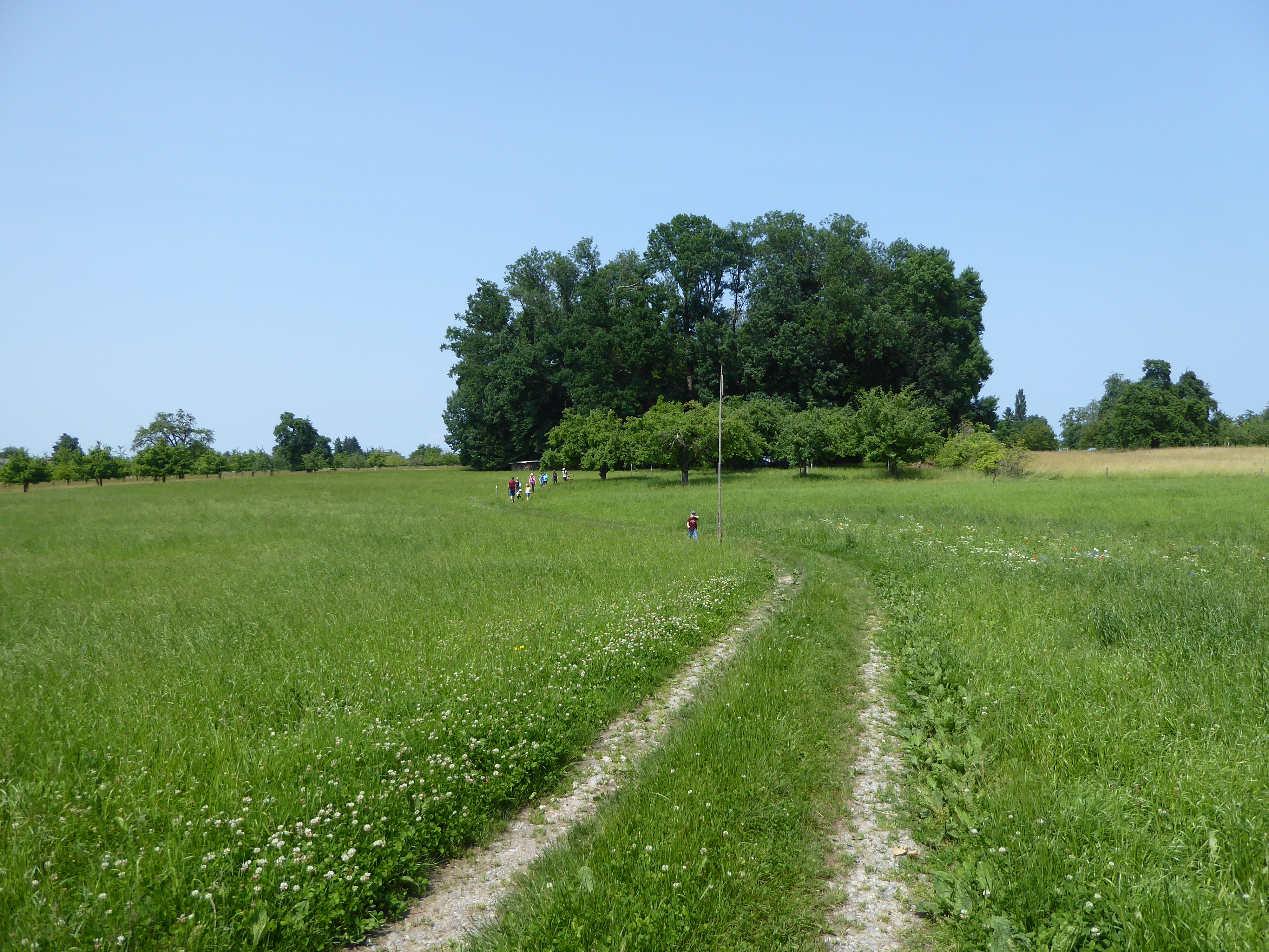 Pfingstwanderung 9. Juni 